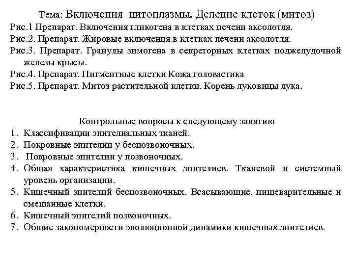 Тема: Включения цитоплазмы. Деление клеток (митоз) Рис. 1 Препарат. Включения гликогена в клетках печени