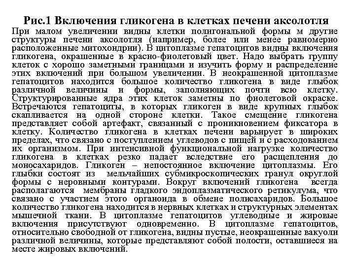 Рис. 1 Включения гликогена в клетках печени аксолотля При малом увеличении видны клетки полигональной
