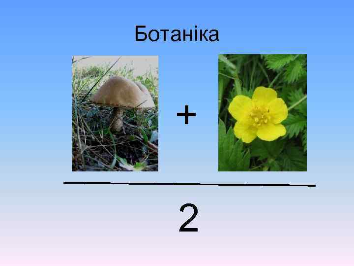 Ботаніка + 2 