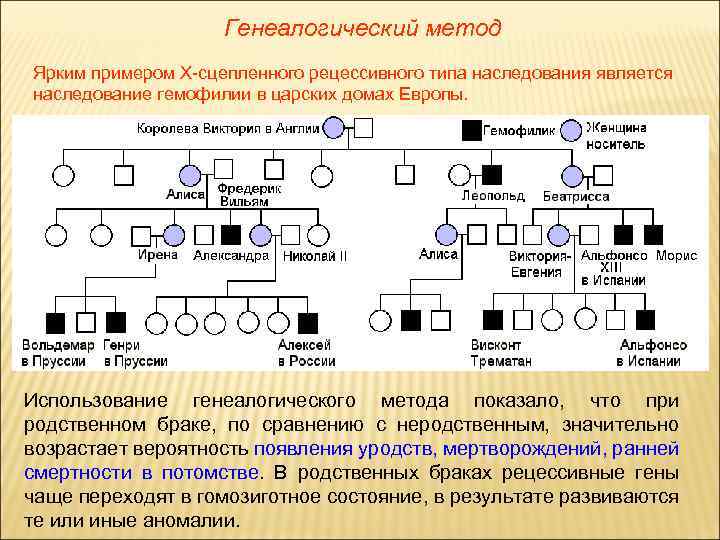 Сколько поколений людей представлено в графическом изображении родословной пробанда ответы