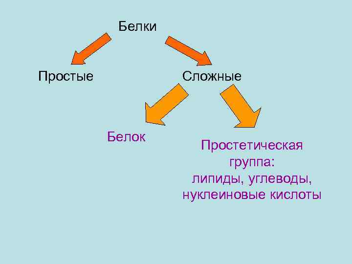Белки Простые Сложные Белок Простетическая группа: липиды, углеводы, нуклеиновые кислоты 