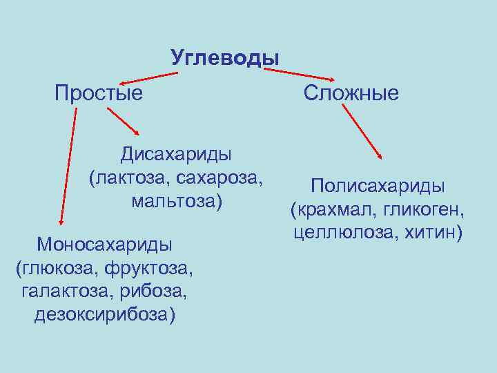 Углеводы Простые Дисахариды (лактоза, сахароза, мальтоза) Моносахариды (глюкоза, фруктоза, галактоза, рибоза, дезоксирибоза) Сложные Полисахариды