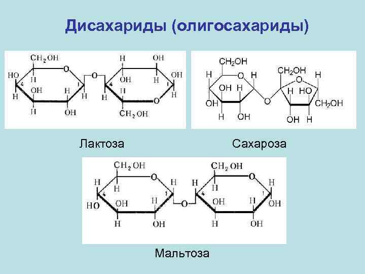Дисахариды (олигосахариды) Лактоза Сахароза Мальтоза 