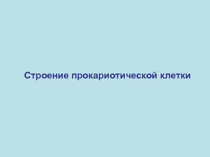 Строение прокариотической клетки 