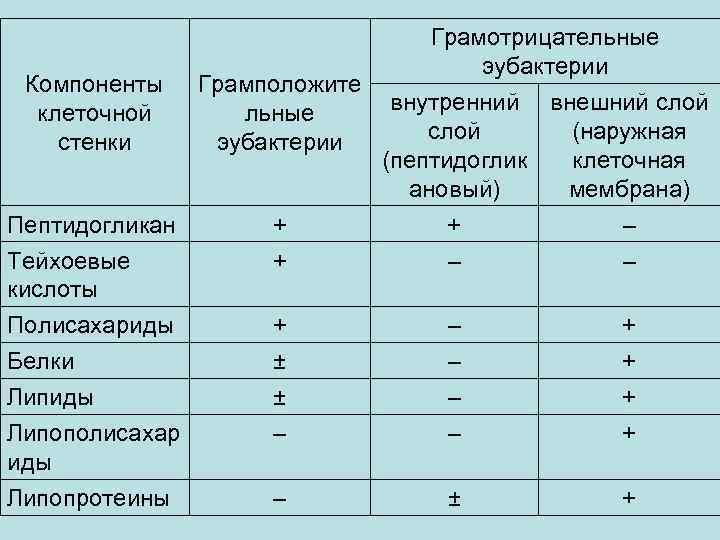Грамотрицательные эубактерии Компоненты Грамположите внутренний внешний слой клеточной льные слой (наружная стенки эубактерии (пептидоглик