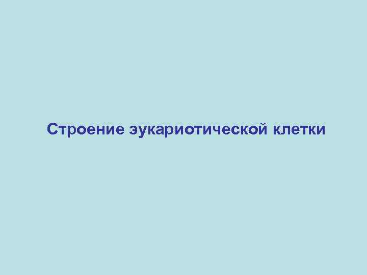 Строение эукариотической клетки 