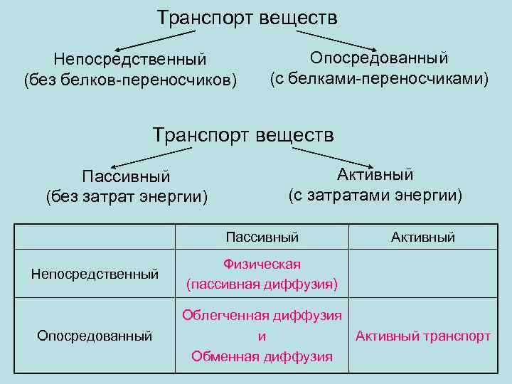 Транспорт веществ Непосредственный (без белков-переносчиков) Опосредованный (с белками-переносчиками) Транспорт веществ Пассивный (без затрат энергии)