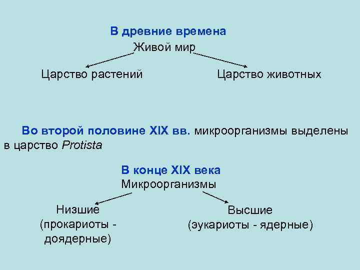 В древние времена Живой мир Царство растений Царство животных Во второй половине XIX вв.