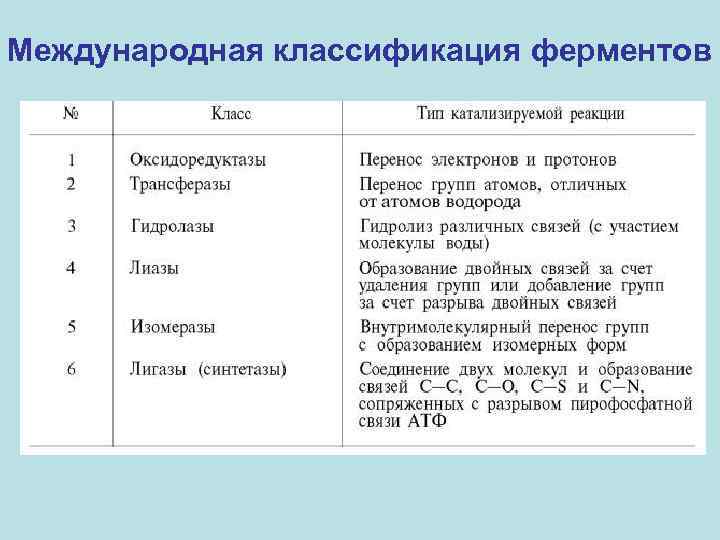 Международная классификация ферментов 