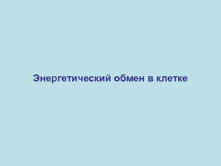 Энергетический обмен в клетке 