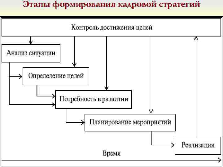 Этапы формирования кадровой стратегий 