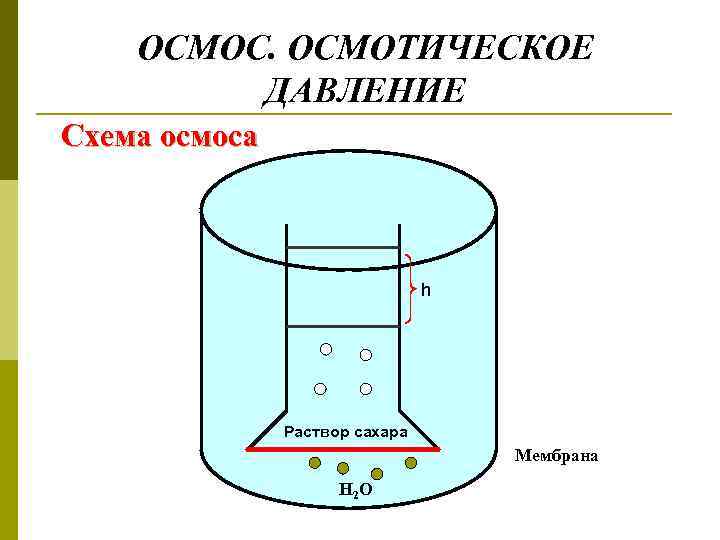 ОСМОС. ОСМОТИЧЕСКОЕ ДАВЛЕНИЕ Схема осмоса h Раствор сахара Мембрана H 2 O 