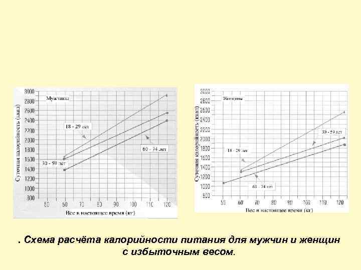 . Схема расчёта калорийности питания для мужчин и женщин с избыточным весом. 