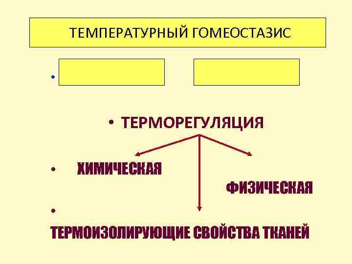 ТЕМПЕРАТУРНЫЙ ГОМЕОСТАЗИС • ПОЙКИЛОТЕРМИЯ ГОМОЙОТЕРМИЯ • ТЕРМОРЕГУЛЯЦИЯ • ХИМИЧЕСКАЯ ФИЗИЧЕСКАЯ • ТЕРМОИЗОЛИРУЮЩИЕ СВОЙСТВА ТКАНЕЙ