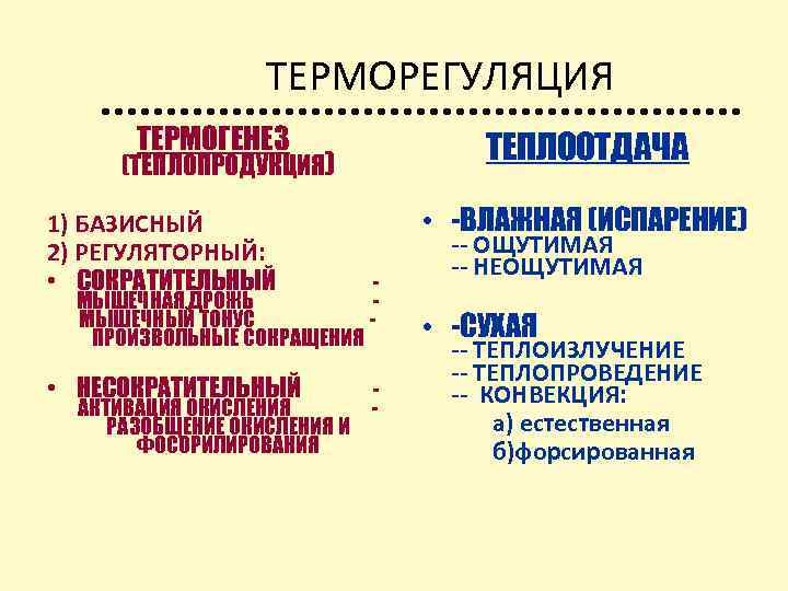 ТЕРМОРЕГУЛЯЦИЯ ТЕРМОГЕНЕЗ ТЕПЛООТДАЧА (ТЕПЛОПРОДУКЦИЯ) 1) БАЗИСНЫЙ 2) РЕГУЛЯТОРНЫЙ: • СОКРАТИТЕЛЬНЫЙ МЫШЕЧНАЯ ДРОЖЬ МЫШЕЧНЫЙ ТОНУС