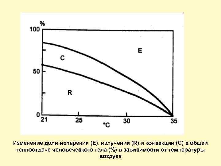 Изменение доли испарения (Е). излучения (R) и конвекции (С) в общей теплоотдаче человеческого тела
