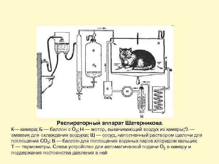 Респираторный аппарат Шатерникова. К— камера; Б — баллон с O 2; H — мотор,