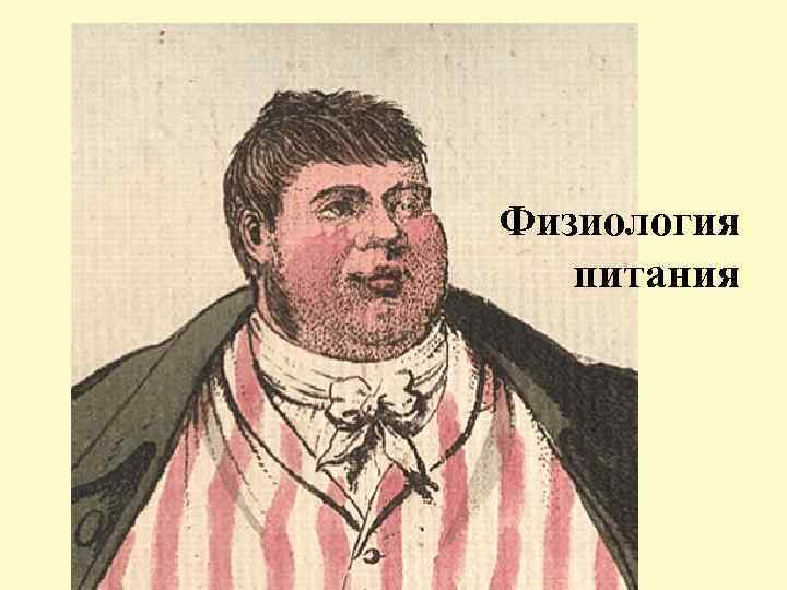 Физиология питания 