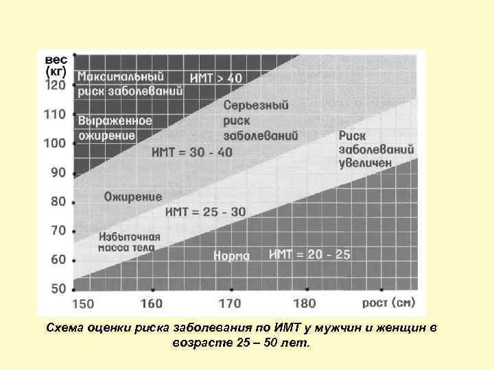 Схема оценки риска заболевания по ИМТ у мужчин и женщин в возрасте 25 –