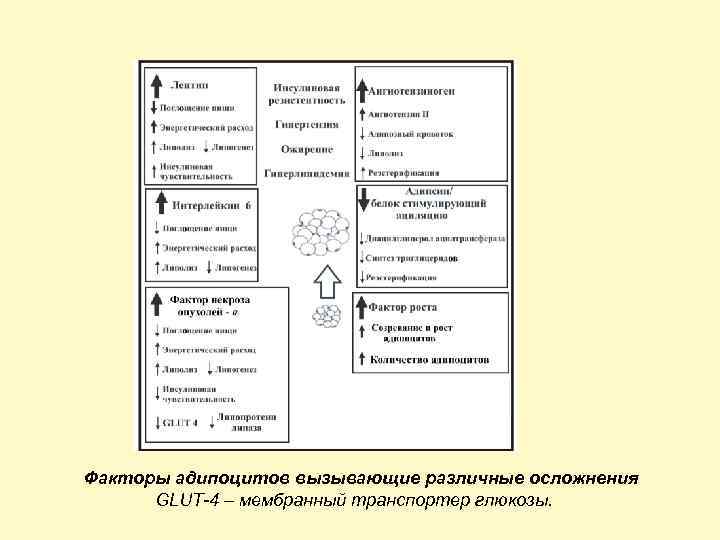 Факторы адипоцитов вызывающие различные осложнения GLUT-4 – мембранный транспортер глюкозы. 