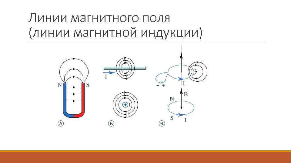 Линии магнитного поля (линии магнитной индукции) 