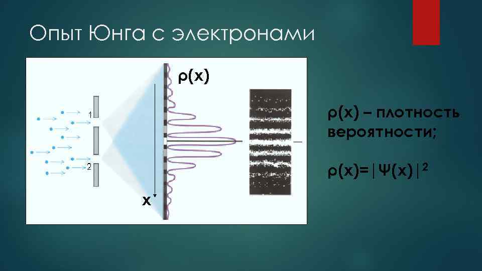 Опыт Юнга с электронами ρ(x) – плотность вероятности; ρ(x)=|Ψ(x)|2 x 