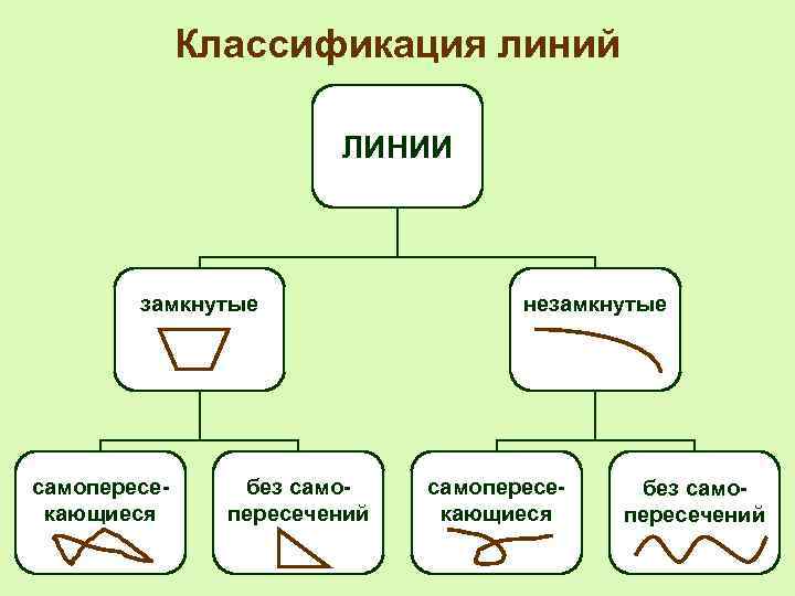 Классификация линий ЛИНИИ замкнутые самопересекающиеся без самопересечений незамкнутые самопересекающиеся без самопересечений 