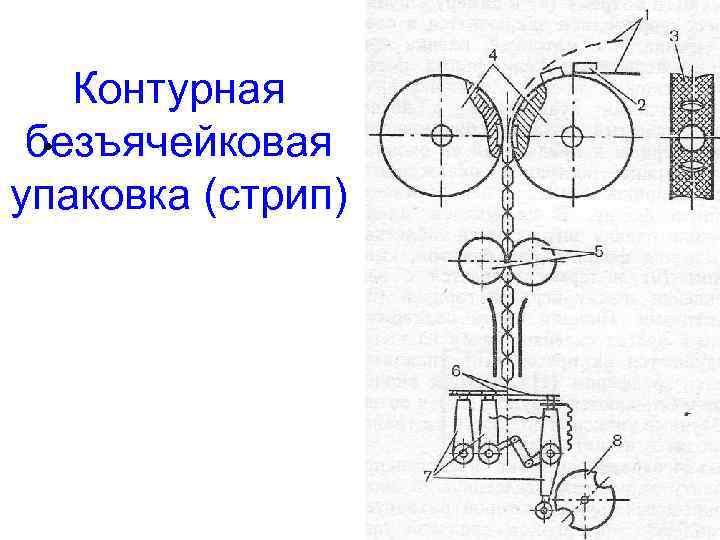 Контурная • безъячейковая упаковка (стрип) 