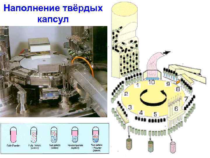 Наполнение твёрдых капсул • 