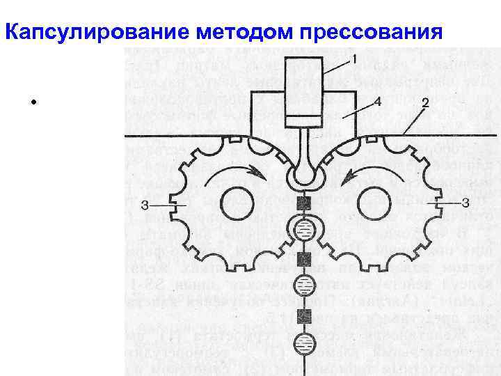 Капсулирование методом прессования • 