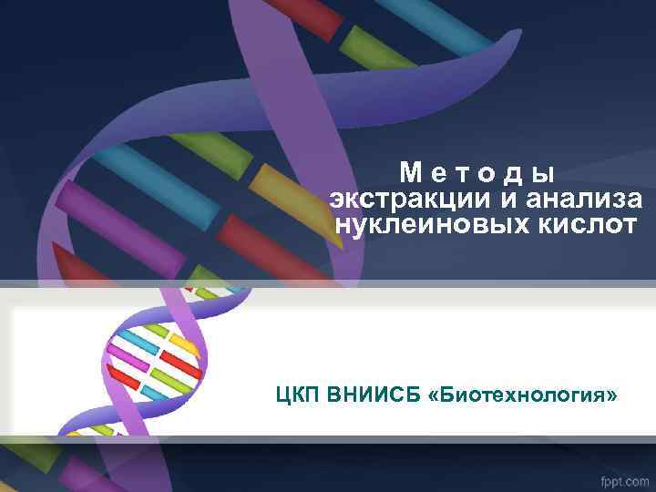 Методы экстракции и анализа нуклеиновых кислот ЦКП ВНИИСБ «Биотехнология» 