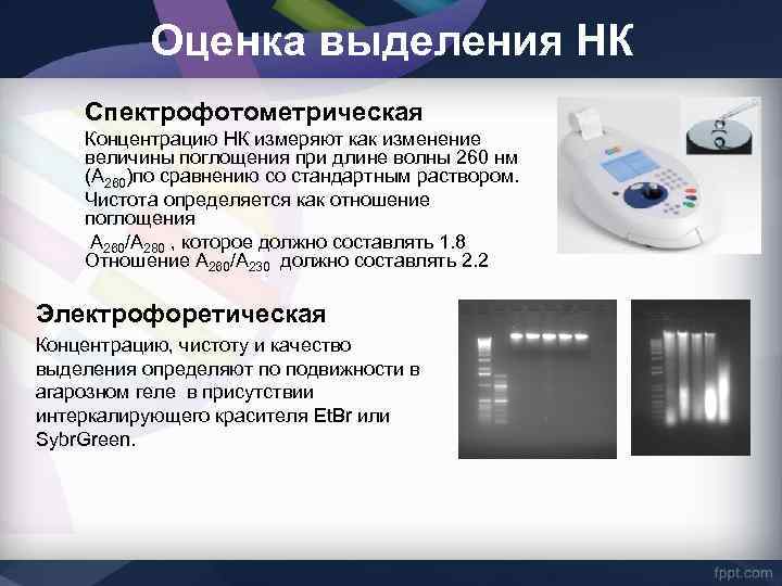 Методы определения белка