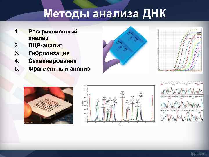 Секвенирование анализ. ПЦР гибридизация ДНК секвенирование. Методы ДНК технологий исследований. Методы изучения нуклеиновых кислот. Методы анализа нуклеиновых кислот.