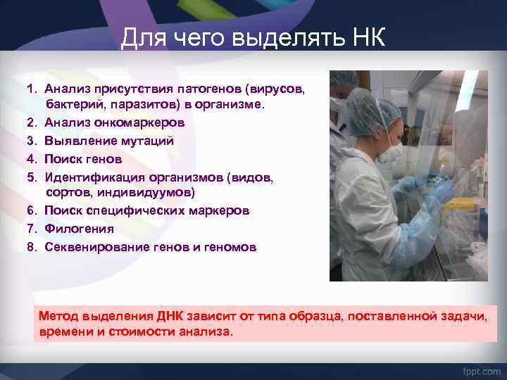 Для чего выделять НК 1. Анализ присутствия патогенов (вирусов, бактерий, паразитов) в организме. 2.