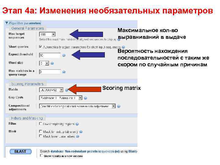 Этап 4 a: Изменения необязательных параметров Максимальное кол-во выравниваний в выдаче Вероятность нахождения последовательностей