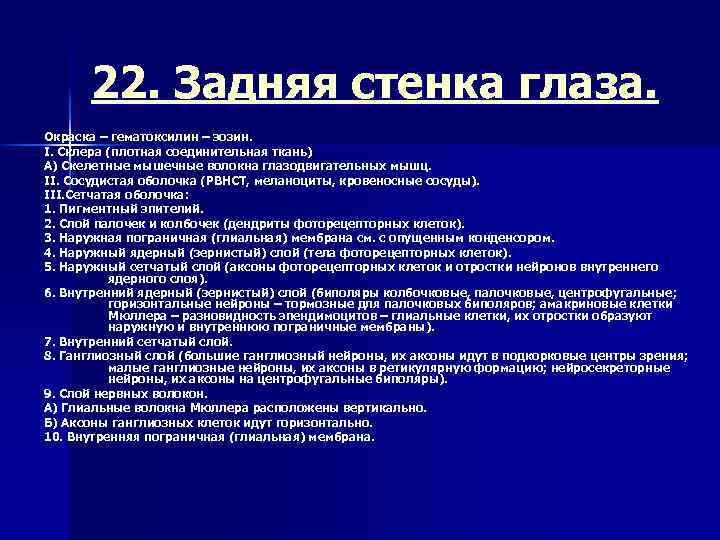 22. Задняя стенка глаза. Окраска – гематоксилин – эозин. I. Склера (плотная соединительная ткань)