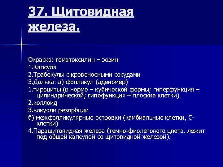 37. Щитовидная железа. Окраска: гематоксилин – эозин 1. Капсула 2. Трабекулы с кровеносными сосудами