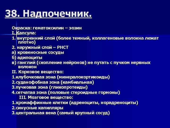 38. Надпочечник. Окраска: гематоксилин – эозин I. Капсула: 1. внутренний слой (более темный, коллагеновые