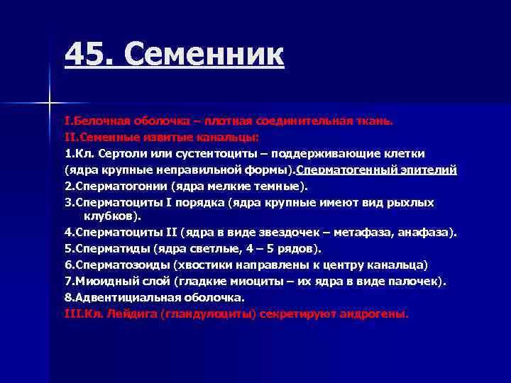 45. Семенник I. Белочная оболочка – плотная соединительная ткань. II. Семенные извитые канальцы: 1.