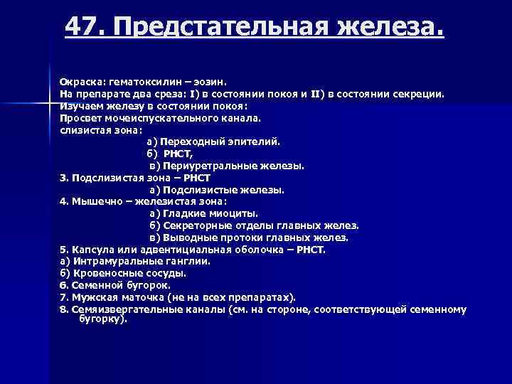 47. Предстательная железа. Окраска: гематоксилин – эозин. На препарате два среза: I) в состоянии