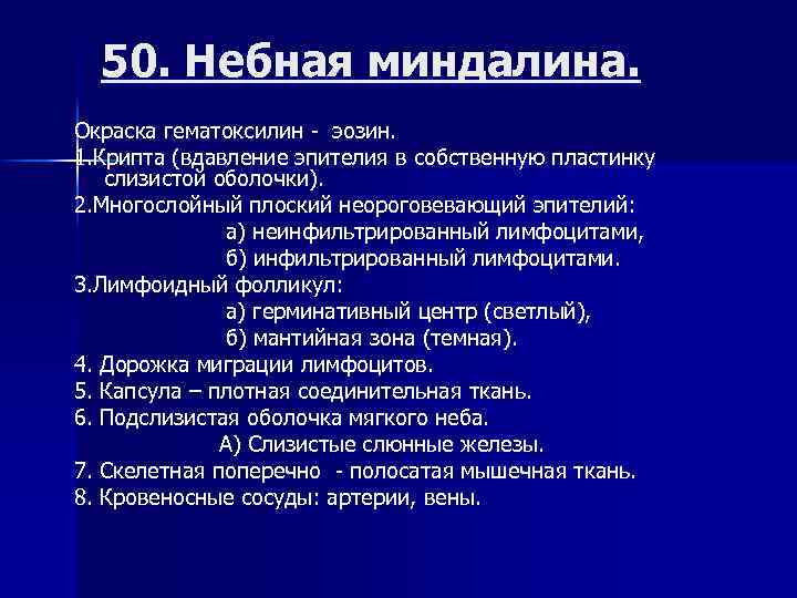 50. Небная миндалина. Окраска гематоксилин - эозин. 1. Крипта (вдавление эпителия в собственную пластинку