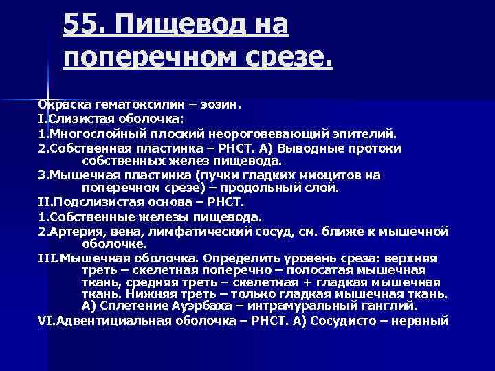 55. Пищевод на поперечном срезе. Окраска гематоксилин – эозин. I. Слизистая оболочка: 1. Многослойный