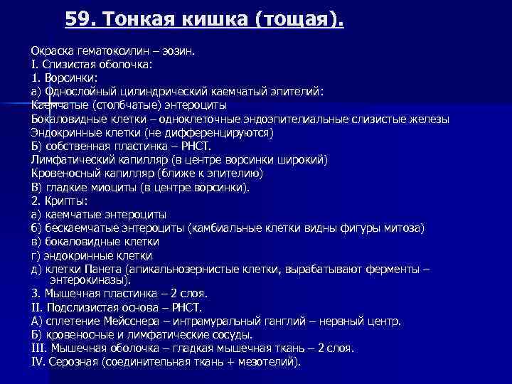 59. Тонкая кишка (тощая). Окраска гематоксилин – эозин. I. Слизистая оболочка: 1. Ворсинки: а)