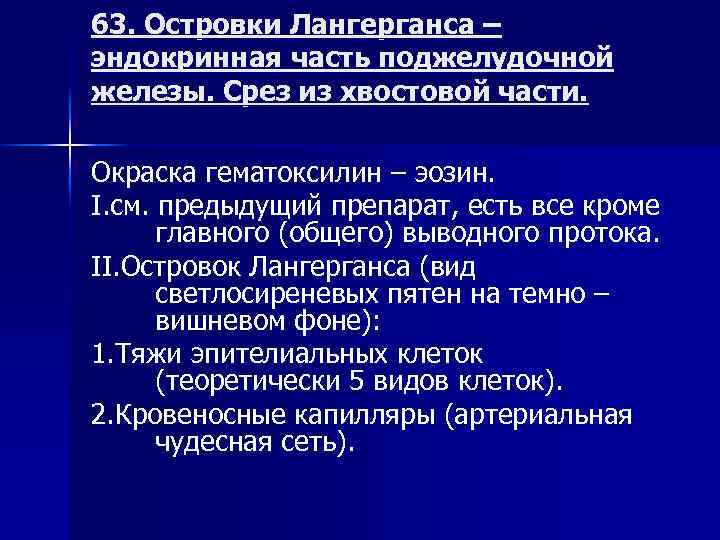 63. Островки Лангерганса – эндокринная часть поджелудочной железы. Срез из хвостовой части. Окраска гематоксилин