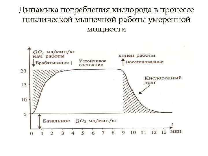 Потребление кислорода