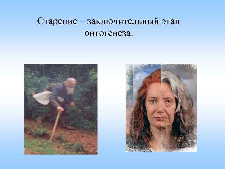 Старение – заключительный этап онтогенеза. 
