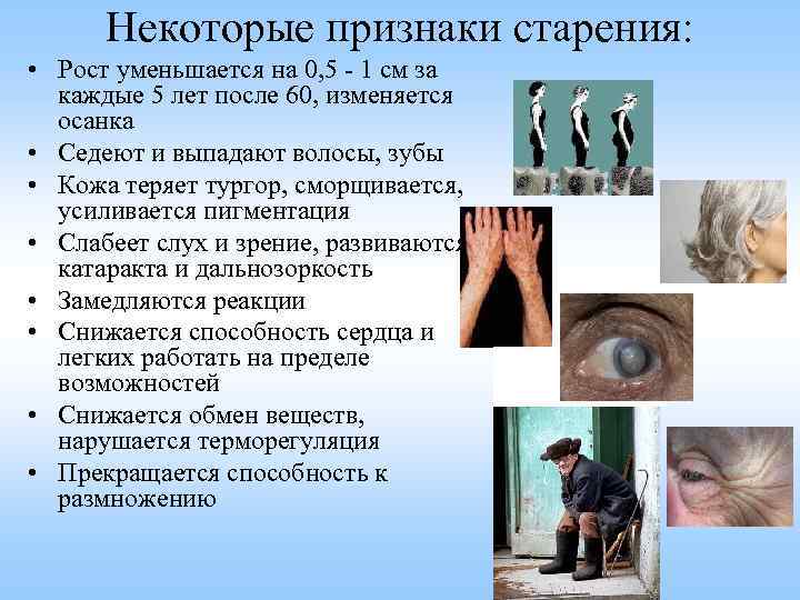 Некоторые признаки старения: • Рост уменьшается на 0, 5 - 1 см за каждые