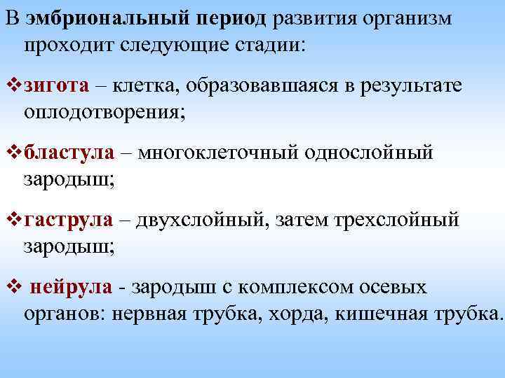 В эмбриональный период развития организм проходит следующие стадии: v зигота – клетка, образовавшаяся в