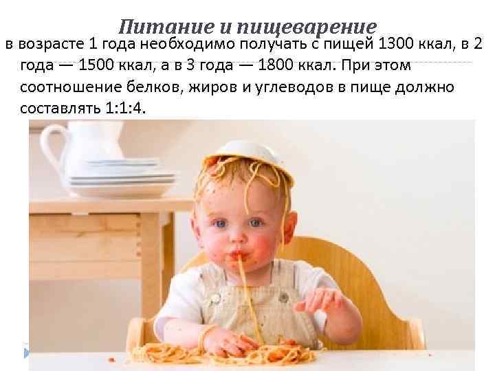 Питание и пищеварение в возрасте 1 года необходимо получать с пищей 1300 ккал, в
