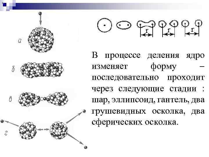 х В процессе деления ядро изменяет форму последовательно проходит через следующие стадии : шар,